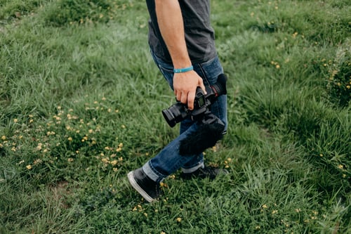 Preview: grass