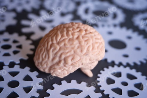 Preview: Close-up of a human brain model surrounded by paper gears.