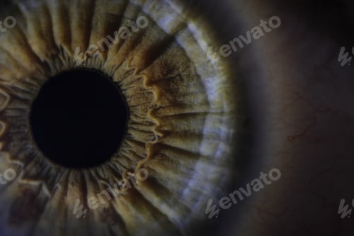 Preview: Macro picture of a green human eye