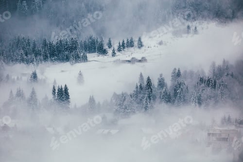 Preview: Winter postcard.