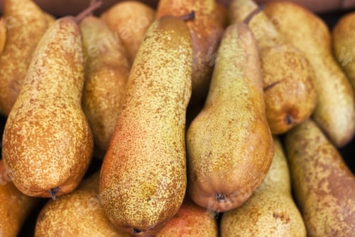 Preview: Fresh pears on display at an Italian farmers' market