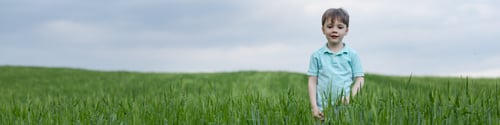 Preview: 4x1 banner for social networks and websites. A 6-year-old boy walks in a green summer rye field