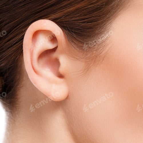 Preview: ear closeup