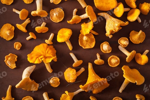 Preview: raw fresh chanterelle mushrooms flat lay on dark background