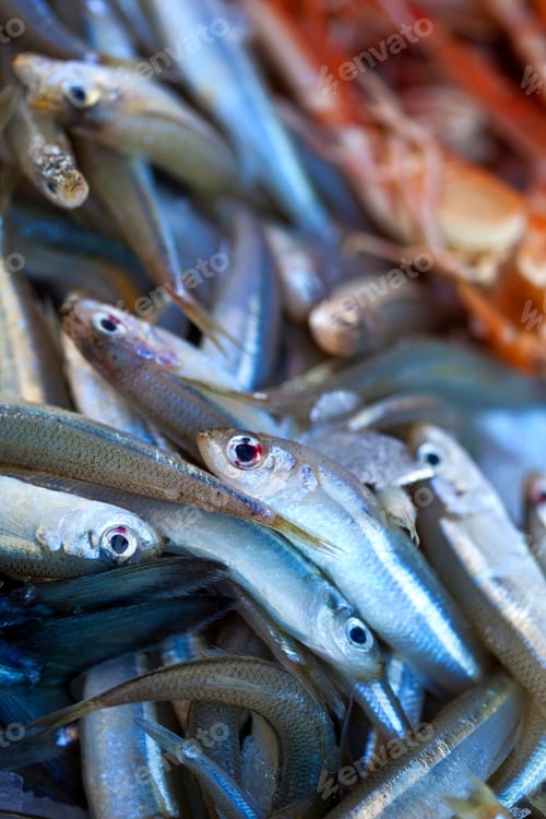 Preview: Fish