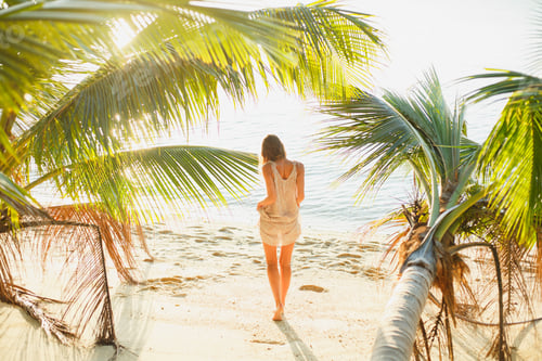 Preview: rear view of woman standing between palm trees on sea beach