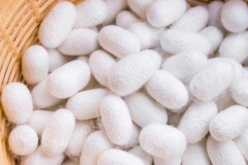 Preview: white silk cocoon, silky, fiber