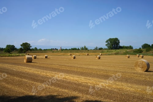Preview: Country landscape near Longare, Vicenza, Italy