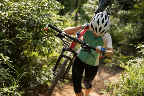 Preview: Cycling in the forest