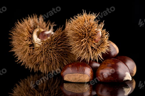 Preview: Chestnuts on a black reflective background