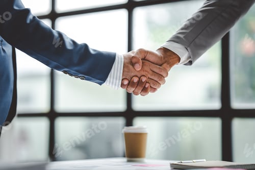 Preview: business partner handshake concept Colleagues shaking hands Successful deal after a great meeting. B
