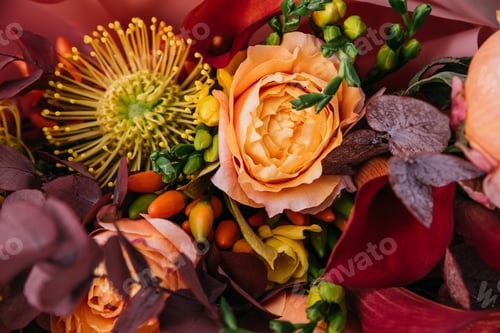 Preview: Red pink orange Autumn Colorful fall bouquet.