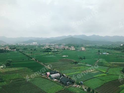 Preview: exotic landscape. Chinese landscape. farming. garden. green. rice fields
