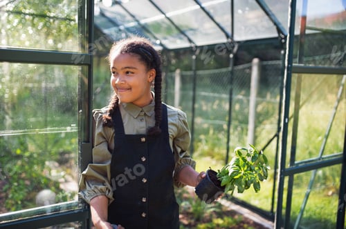 Preview: Happy small girl gardening in greenhouse outdoors in backyard, holding herbs