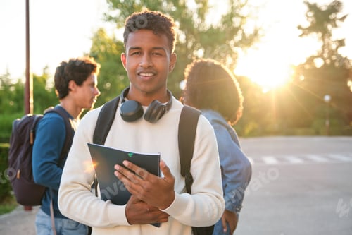 Preview: University student smiling at camera with friends studying