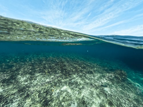 Preview: Underwater at the beach on the island
