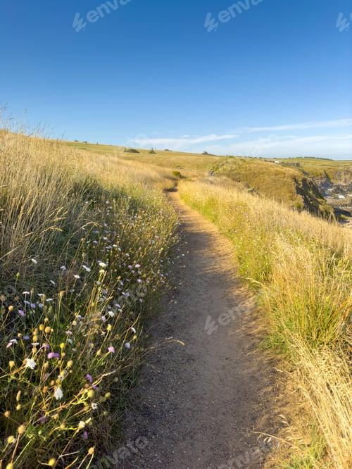 Preview: Heysen Trail Wildflowers South Australia