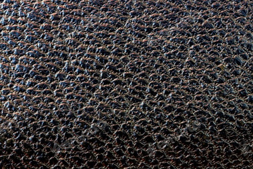 Preview: leather texture