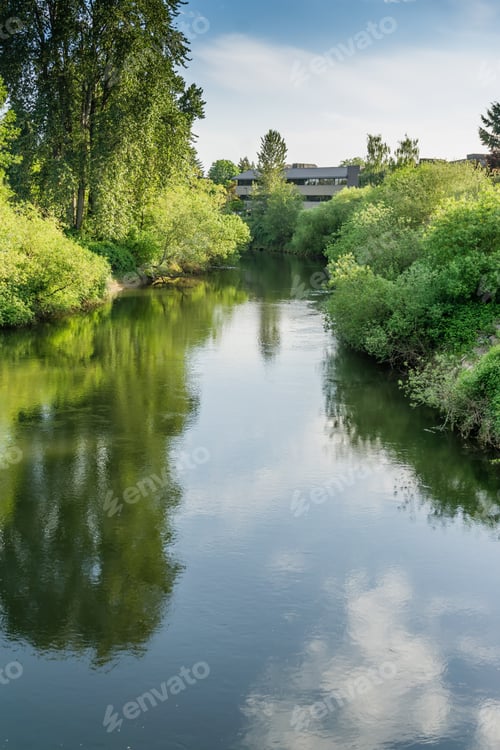 Preview: The Green River Flows Through Tukwila, Washington.