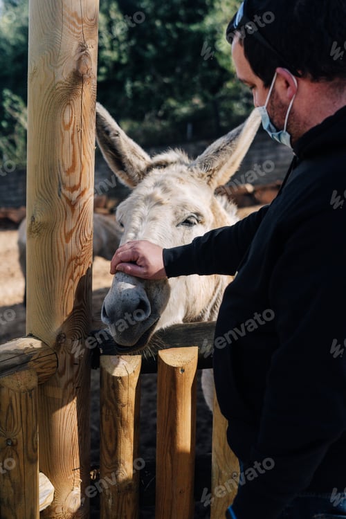 Preview: Young farmer caressing a donkey
