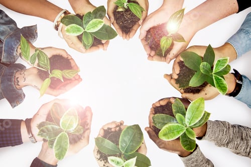 Preview: Environmentalist hands cupping plants earth day campaign