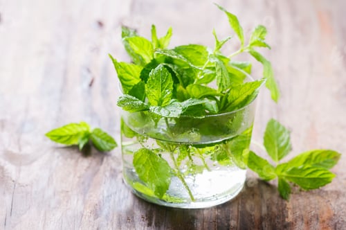 Preview: Green fresh mint on the wooden table
