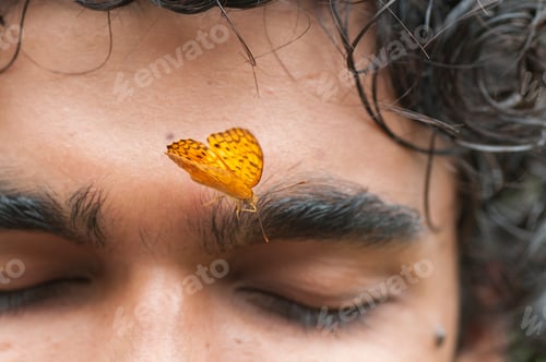 Preview: Butterfly sitting on a young man’s face, Symbiosis of man and nature.