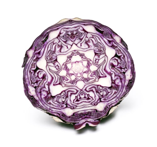 Preview: red cabbage isolated on white background
