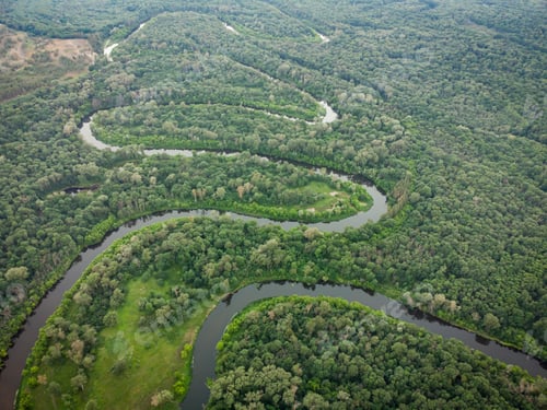Preview: Aerial view over the river which is on the green forest.