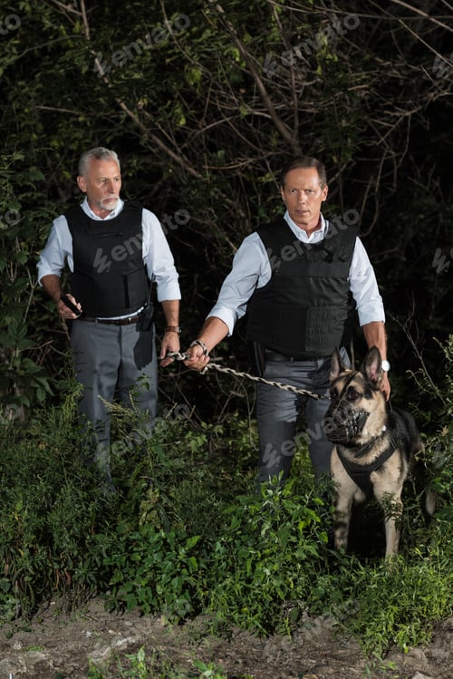 Preview: male police officers in bulletproof vests with german shepherd dog on leash near forest