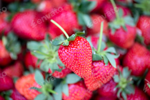 Preview: Background from freshly harvested strawberries, directly above