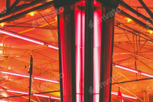 Preview: Intense image of neon lights in a fair