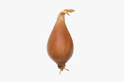 Preview: Shallot Bulb with Dried Skin