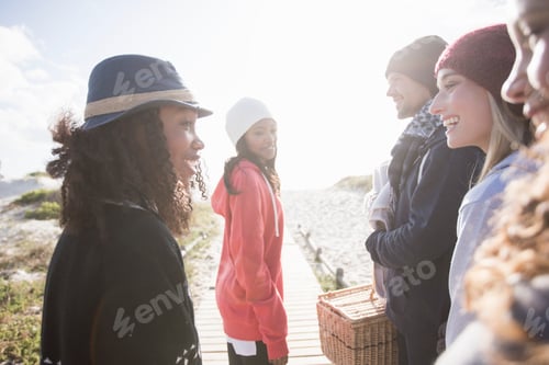 Preview: Group of friends enjoying a beach outing