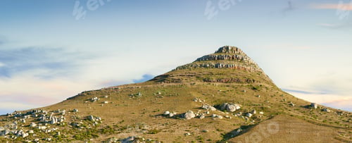 Preview: Nature around Cape Town
