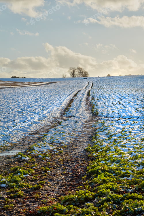 Preview: Wintertime - countryside in Denmark. Winter landscape on a sunny day with blue sky.