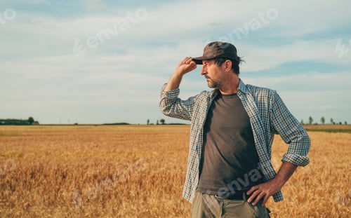 Preview: Portrait of male farmer standing in ripe wheat field and thinking. Agriculture and farming concept.