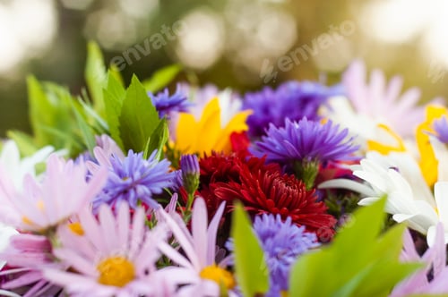 Preview: Bouquet from a camomile and other flowers