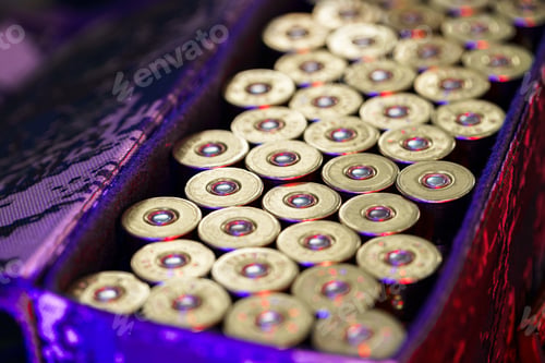 Preview: Set of cartridges for a hunting shotgun