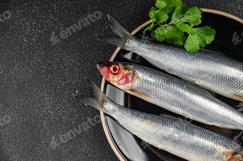 Preview: herring fish fresh seafood tasty eating cooking meal food snack on the table copy space food