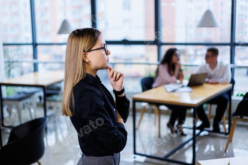 Preview: Young woman businessman. Business team organization and investment plans while working
