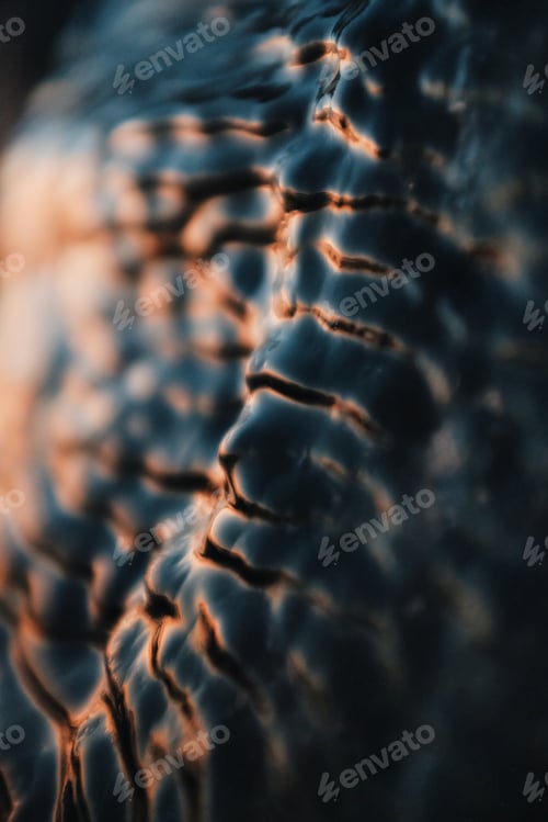 Preview: abstract texture of an ice frozen on a rock