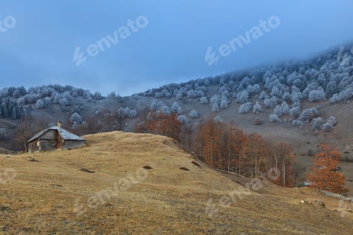 Preview: autumn landscape