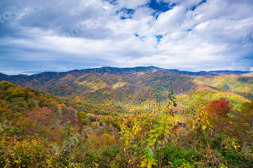 Preview: Great Smoky Mountains National Park, Tennessee, USA