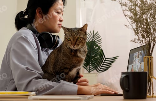 Preview: asian woman video conference with colleague online with tablet and hug her cat at home