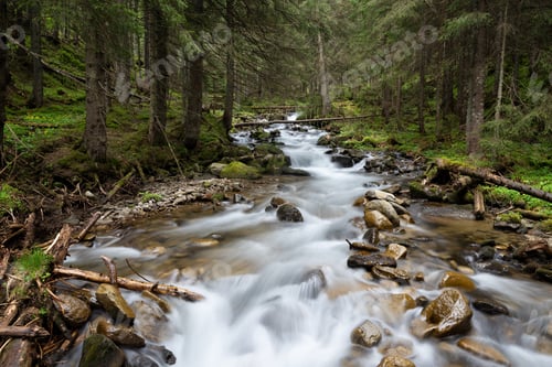 Preview: Cascading River in a Lush Mountain Forest