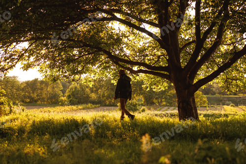 Preview: Active male traveler walking in green forest in sunny day