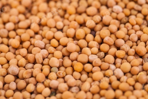 Preview: Macro Texture of Beige Peas