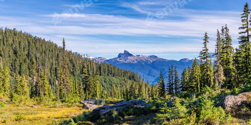 Preview: Scenic View of Brandywine Meadows in Whistler, British Columbia Surrounded by Lush Forests