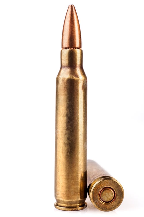 Preview: Two Rifle Bullets